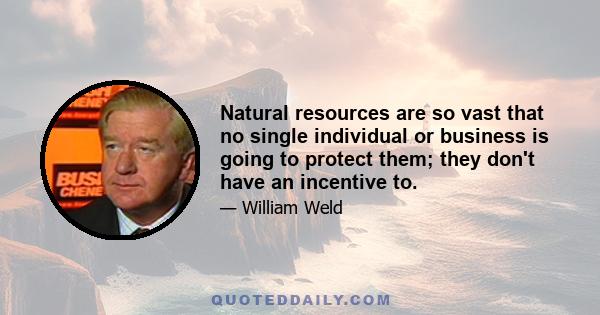 Natural resources are so vast that no single individual or business is going to protect them; they don't have an incentive to.