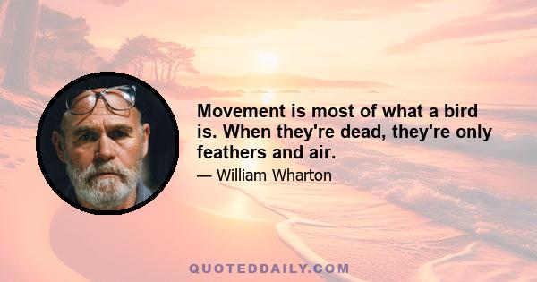 Movement is most of what a bird is. When they're dead, they're only feathers and air.