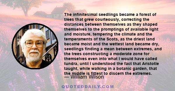 The infinitesimal seedlings became a forest of trees that grew courteously, correcting the distances between themselves as they shaped themselves to the promptings of available light and moisture, tempering the climate