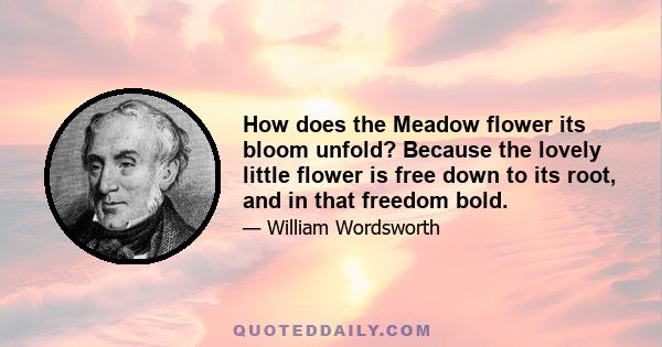 How does the Meadow flower its bloom unfold? Because the lovely little flower is free down to its root, and in that freedom bold.