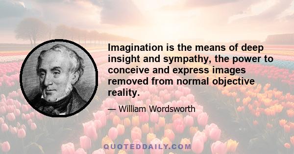 Imagination is the means of deep insight and sympathy, the power to conceive and express images removed from normal objective reality.