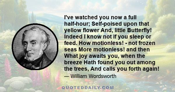 I've watched you now a full half-hour; Self-poised upon that yellow flower And, little Butterfly! Indeed I know not if you sleep or feed. How motionless! - not frozen seas More motionless! and then What joy awaits you,