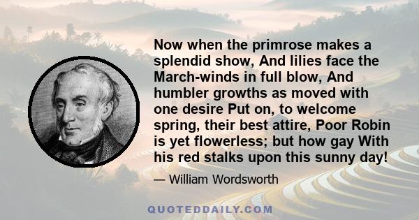 Now when the primrose makes a splendid show, And lilies face the March-winds in full blow, And humbler growths as moved with one desire Put on, to welcome spring, their best attire, Poor Robin is yet flowerless; but how 