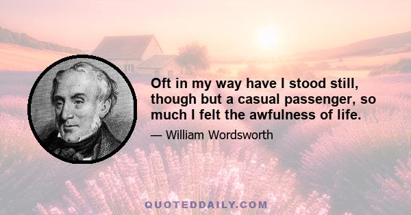 Oft in my way have I stood still, though but a casual passenger, so much I felt the awfulness of life.