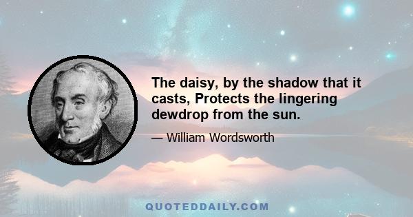 The daisy, by the shadow that it casts, Protects the lingering dewdrop from the sun.