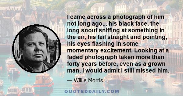 I came across a photograph of him not long ago... his black face, the long snout sniffing at something in the air, his tail straight and pointing, his eyes flashing in some momentary excitement. Looking at a faded