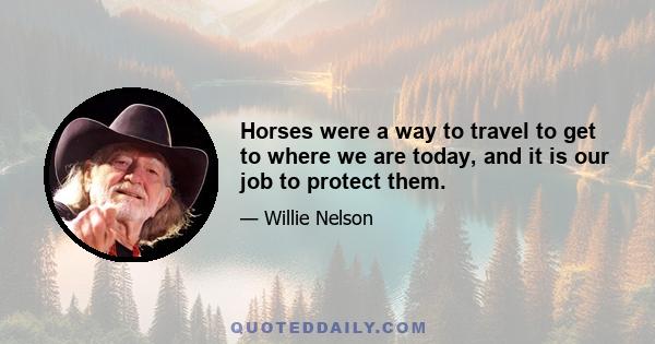 Horses were a way to travel to get to where we are today, and it is our job to protect them.