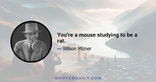 You're a mouse studying to be a rat.