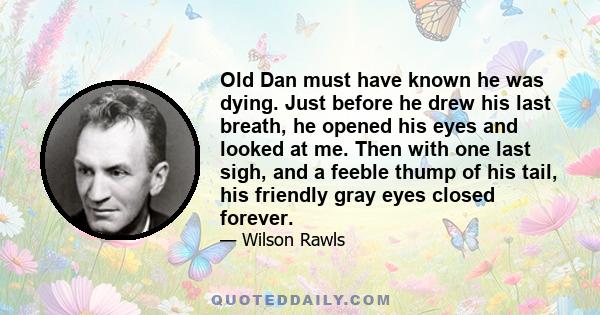 Old Dan must have known he was dying. Just before he drew his last breath, he opened his eyes and looked at me. Then with one last sigh, and a feeble thump of his tail, his friendly gray eyes closed forever.