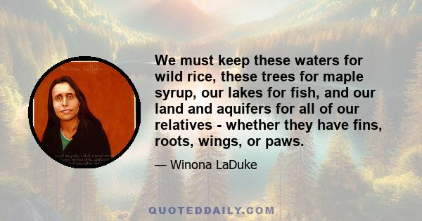 We must keep these waters for wild rice, these trees for maple syrup, our lakes for fish, and our land and aquifers for all of our relatives - whether they have fins, roots, wings, or paws.