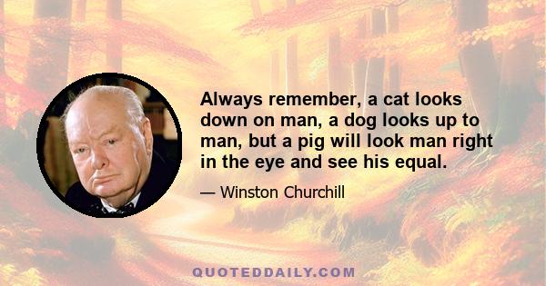 Always remember, a cat looks down on man, a dog looks up to man, but a pig will look man right in the eye and see his equal.