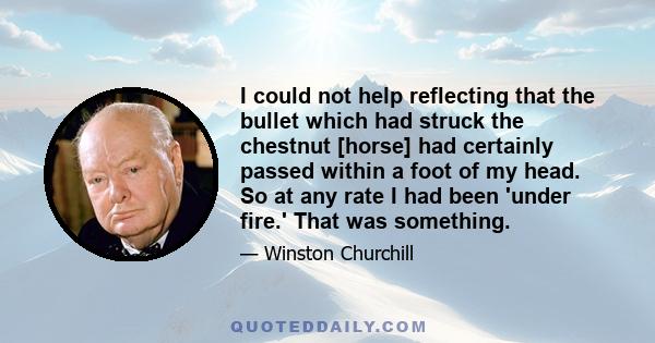 I could not help reflecting that the bullet which had struck the chestnut [horse] had certainly passed within a foot of my head. So at any rate I had been 'under fire.' That was something.