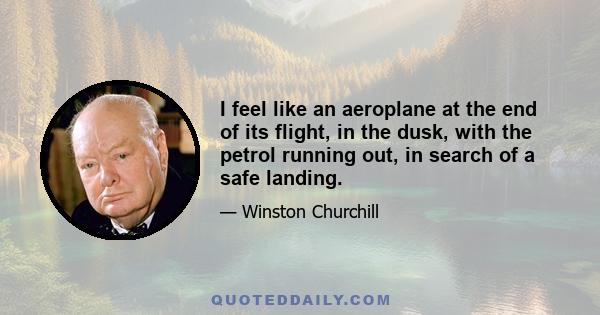 I feel like an aeroplane at the end of its flight, in the dusk, with the petrol running out, in search of a safe landing.