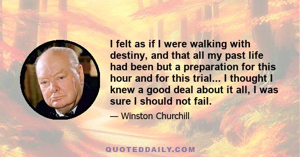 I felt as if I were walking with destiny, and that all my past life had been but a preparation for this hour and for this trial... I thought I knew a good deal about it all, I was sure I should not fail.