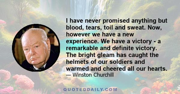 I have never promised anything but blood, tears, toil and sweat. Now, however we have a new experience. We have a victory - a remarkable and definite victory. The bright gleam has caught the helmets of our soldiers and