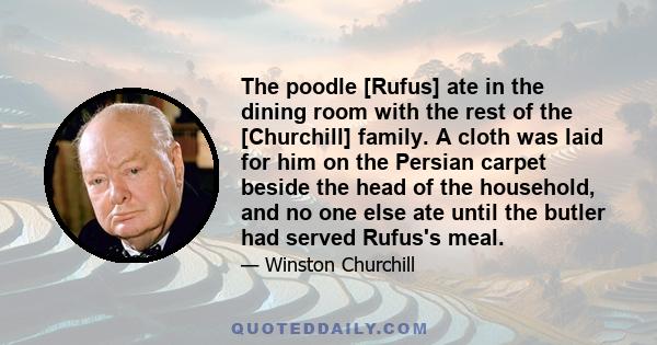 The poodle [Rufus] ate in the dining room with the rest of the [Churchill] family. A cloth was laid for him on the Persian carpet beside the head of the household, and no one else ate until the butler had served Rufus's 