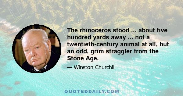 The rhinoceros stood ... about five hundred yards away ... not a twentieth-century animal at all, but an odd, grim straggler from the Stone Age.