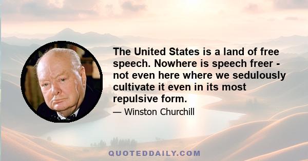 The United States is a land of free speech. Nowhere is speech freer - not even here where we sedulously cultivate it even in its most repulsive form.