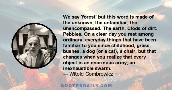 We say 'forest' but this word is made of the unknown, the unfamiliar, the unencompassed. The earth. Clods of dirt. Pebbles. On a clear day you rest among ordinary, everyday things that have been familiar to you since