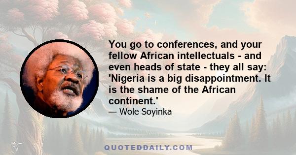 You go to conferences, and your fellow African intellectuals - and even heads of state - they all say: 'Nigeria is a big disappointment. It is the shame of the African continent.'