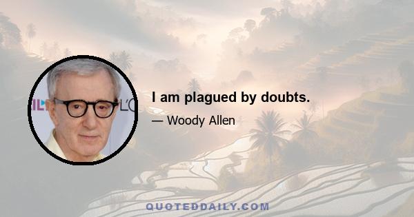 I am plagued by doubts.