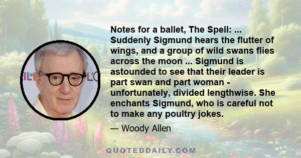 Notes for a ballet, The Spell: ... Suddenly Sigmund hears the flutter of wings, and a group of wild swans flies across the moon ... Sigmund is astounded to see that their leader is part swan and part woman -