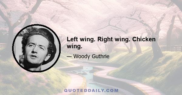 Left wing. Right wing. Chicken wing.