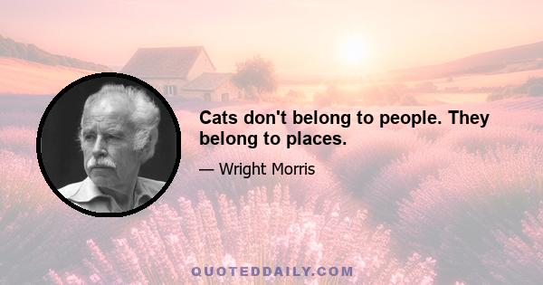 Cats don't belong to people. They belong to places.