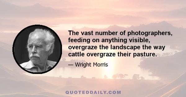 The vast number of photographers, feeding on anything visible, overgraze the landscape the way cattle overgraze their pasture.