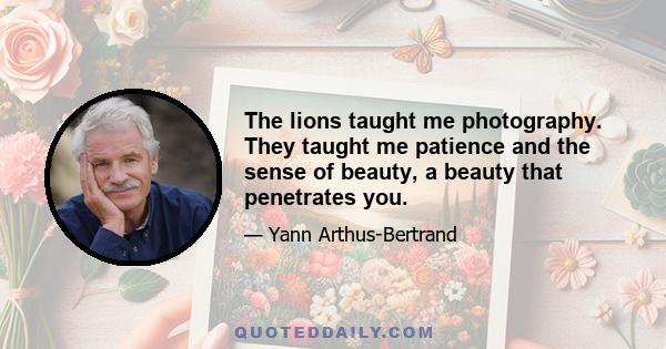 The lions taught me photography. They taught me patience and the sense of beauty, a beauty that penetrates you.