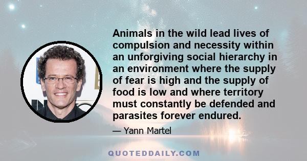 Animals in the wild lead lives of compulsion and necessity within an unforgiving social hierarchy in an environment where the supply of fear is high and the supply of food is low and where territory must constantly be