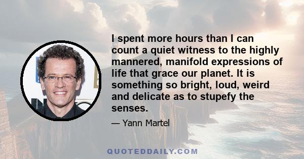 I spent more hours than I can count a quiet witness to the highly mannered, manifold expressions of life that grace our planet. It is something so bright, loud, weird and delicate as to stupefy the senses.