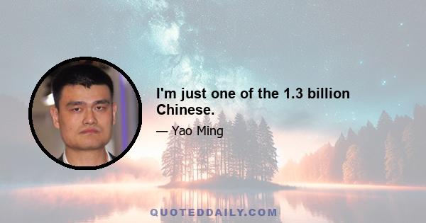 I'm just one of the 1.3 billion Chinese.