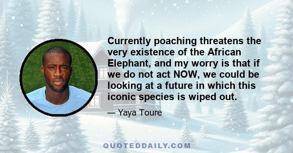 Currently poaching threatens the very existence of the African Elephant, and my worry is that if we do not act NOW, we could be looking at a future in which this iconic species is wiped out.