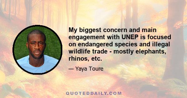 My biggest concern and main engagement with UNEP is focused on endangered species and illegal wildlife trade - mostly elephants, rhinos, etc.