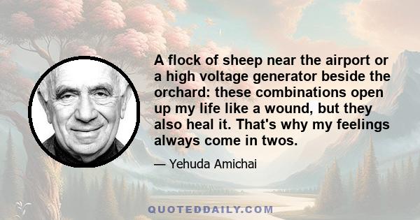 A flock of sheep near the airport or a high voltage generator beside the orchard: these combinations open up my life like a wound, but they also heal it. That's why my feelings always come in twos.