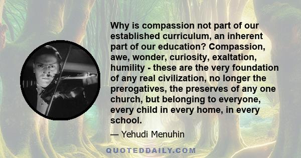 Why is compassion not part of our established curriculum, an inherent part of our education? Compassion, awe, wonder, curiosity, exaltation, humility - these are the very foundation of any real civilization, no longer