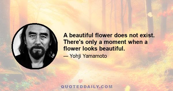 A beautiful flower does not exist. There's only a moment when a flower looks beautiful.