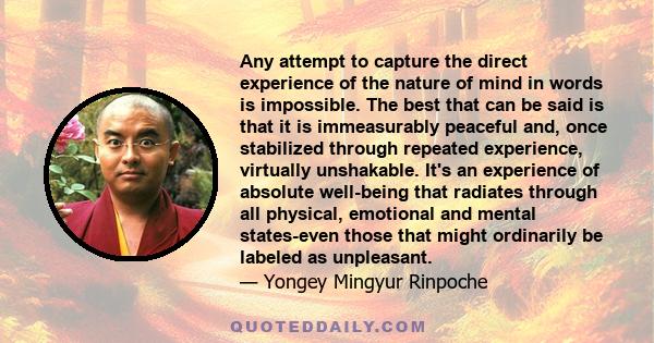 Any attempt to capture the direct experience of the nature of mind in words is impossible. The best that can be said is that it is immeasurably peaceful and, once stabilized through repeated experience, virtually