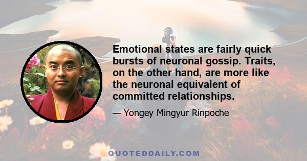 Emotional states are fairly quick bursts of neuronal gossip. Traits, on the other hand, are more like the neuronal equivalent of committed relationships.