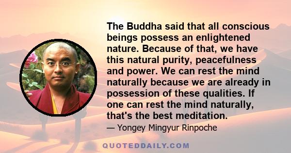 The Buddha said that all conscious beings possess an enlightened nature. Because of that, we have this natural purity, peacefulness and power. We can rest the mind naturally because we are already in possession of these 