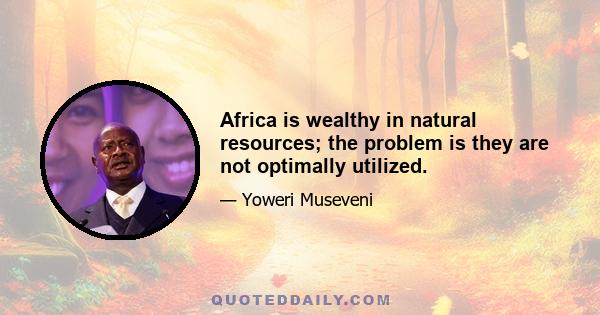 Africa is wealthy in natural resources; the problem is they are not optimally utilized.