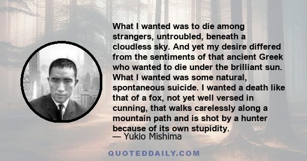 What I wanted was to die among strangers, untroubled, beneath a cloudless sky. And yet my desire differed from the sentiments of that ancient Greek who wanted to die under the brilliant sun. What I wanted was some