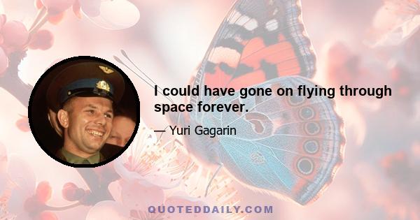 I could have gone on flying through space forever.