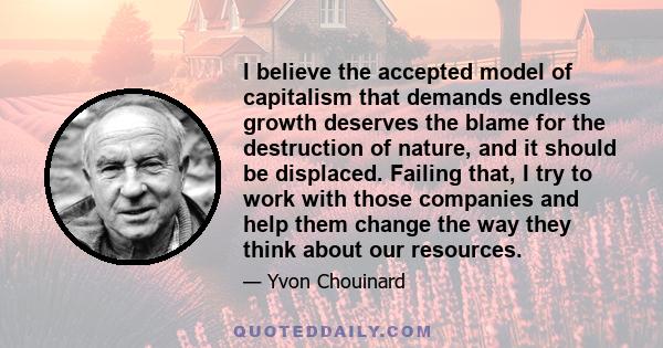 I believe the accepted model of capitalism that demands endless growth deserves the blame for the destruction of nature, and it should be displaced. Failing that, I try to work with those companies and help them change