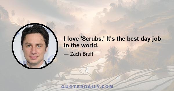 I love 'Scrubs.' It's the best day job in the world.