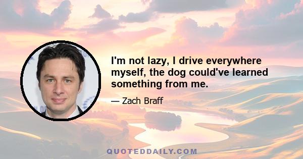 I'm not lazy, I drive everywhere myself, the dog could've learned something from me.