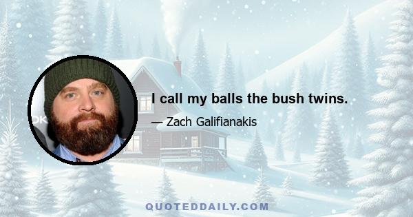 I call my balls the bush twins.