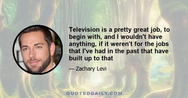 Television is a pretty great job, to begin with, and I wouldn't have anything, if it weren't for the jobs that I've had in the past that have built up to that