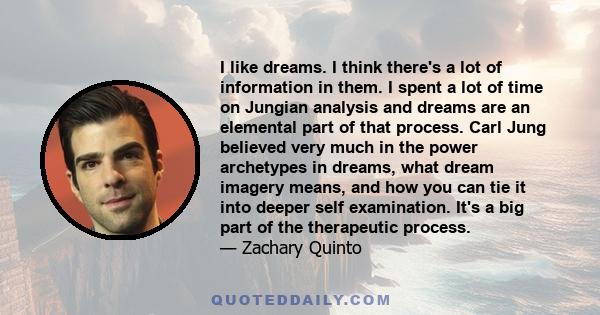 I like dreams. I think there's a lot of information in them. I spent a lot of time on Jungian analysis and dreams are an elemental part of that process. Carl Jung believed very much in the power archetypes in dreams,